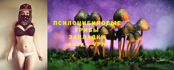 дживик Горно-Алтайск