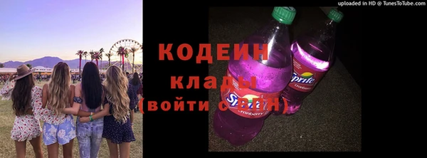 твердый Горняк