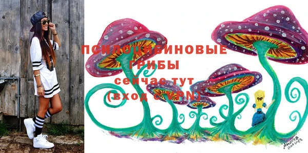 мяу мяу мука Вязьма