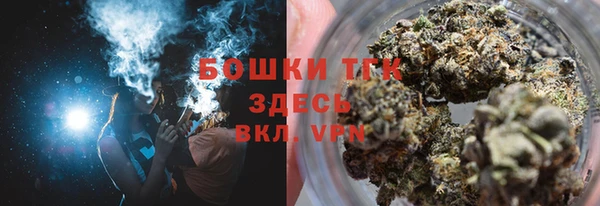 твердый Горняк